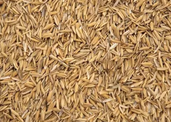 09715dab-a406-40f9-b34a-462833d433a3 1