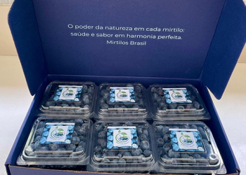 WhatsApp Image 2025-12-05 at 1.31.05 PM 1